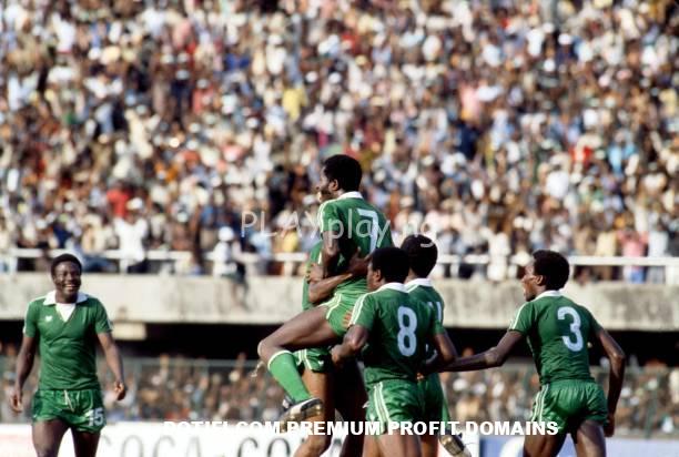Olusegun Odegbami, Green Eagles